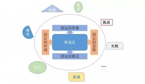 让你的组织保持一定程度的“不舒适”